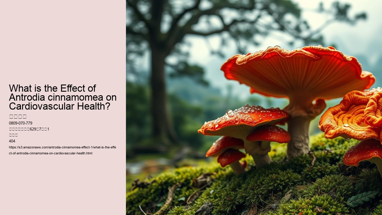 What is the Effect of Antrodia cinnamomea on Cardiovascular Health?